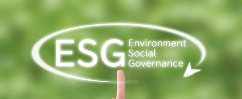 Modelo de Relatório ESG 